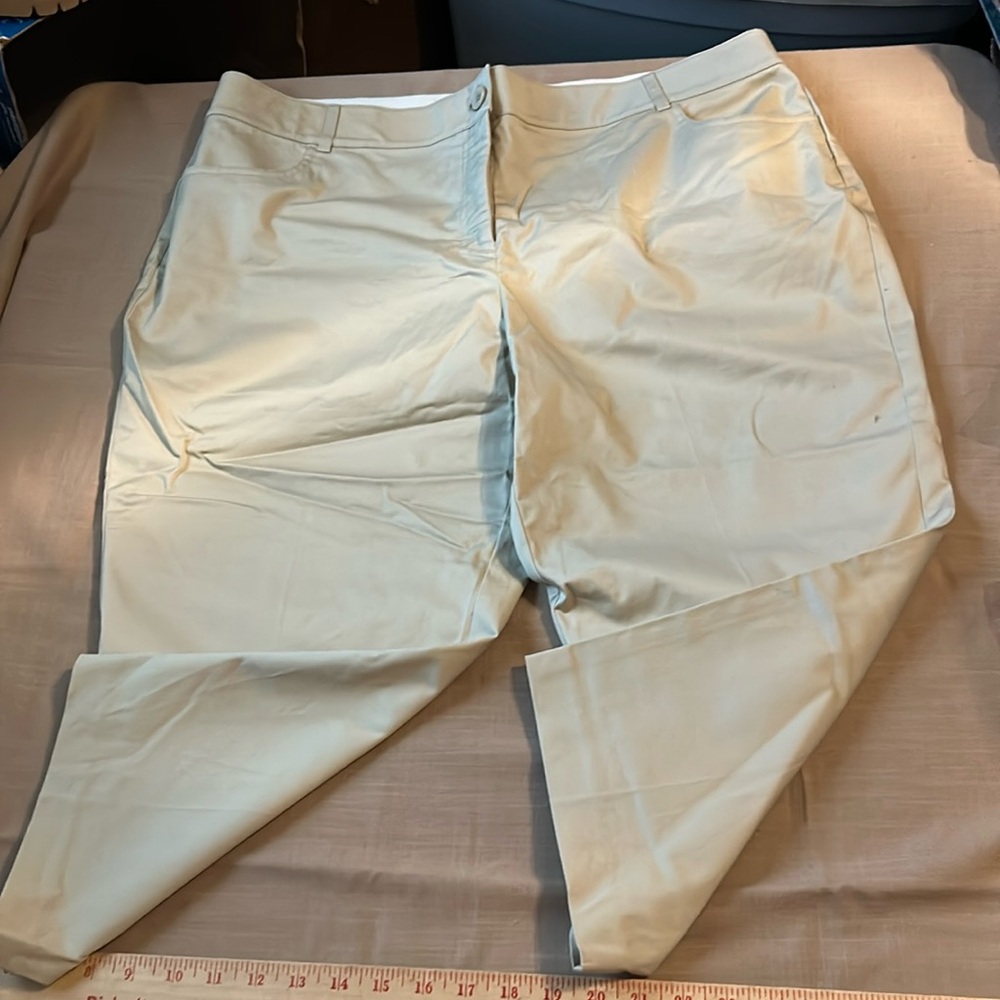 NWT Briggs Capri